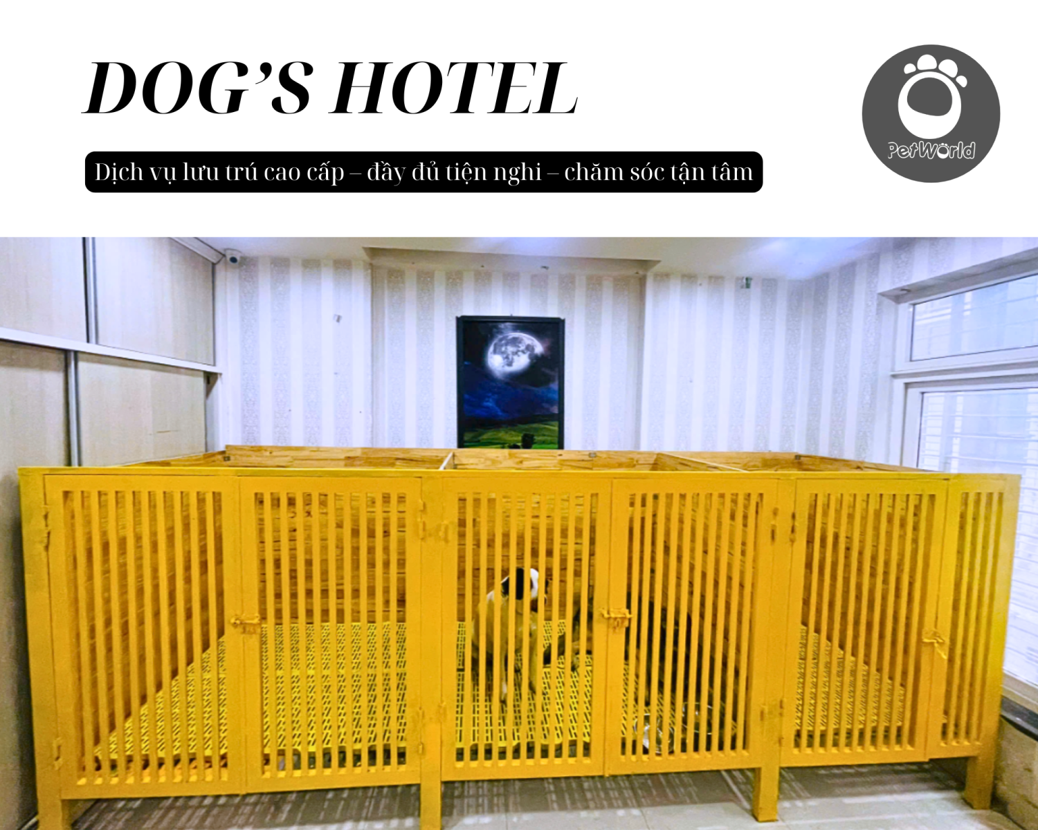 KHÁCH SẠN THÚ CƯNG