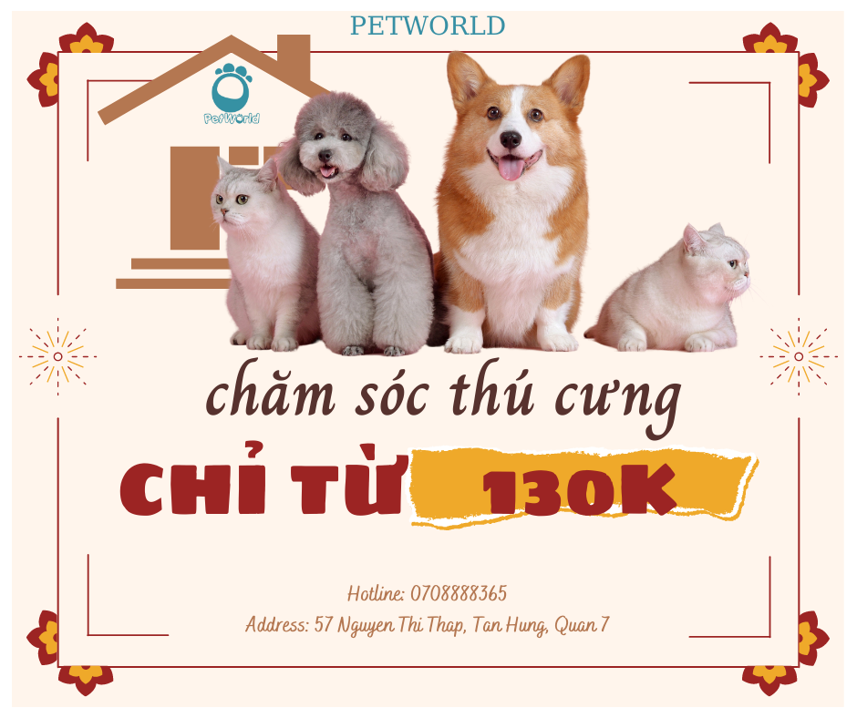 khách sạn thú cưng quận 7