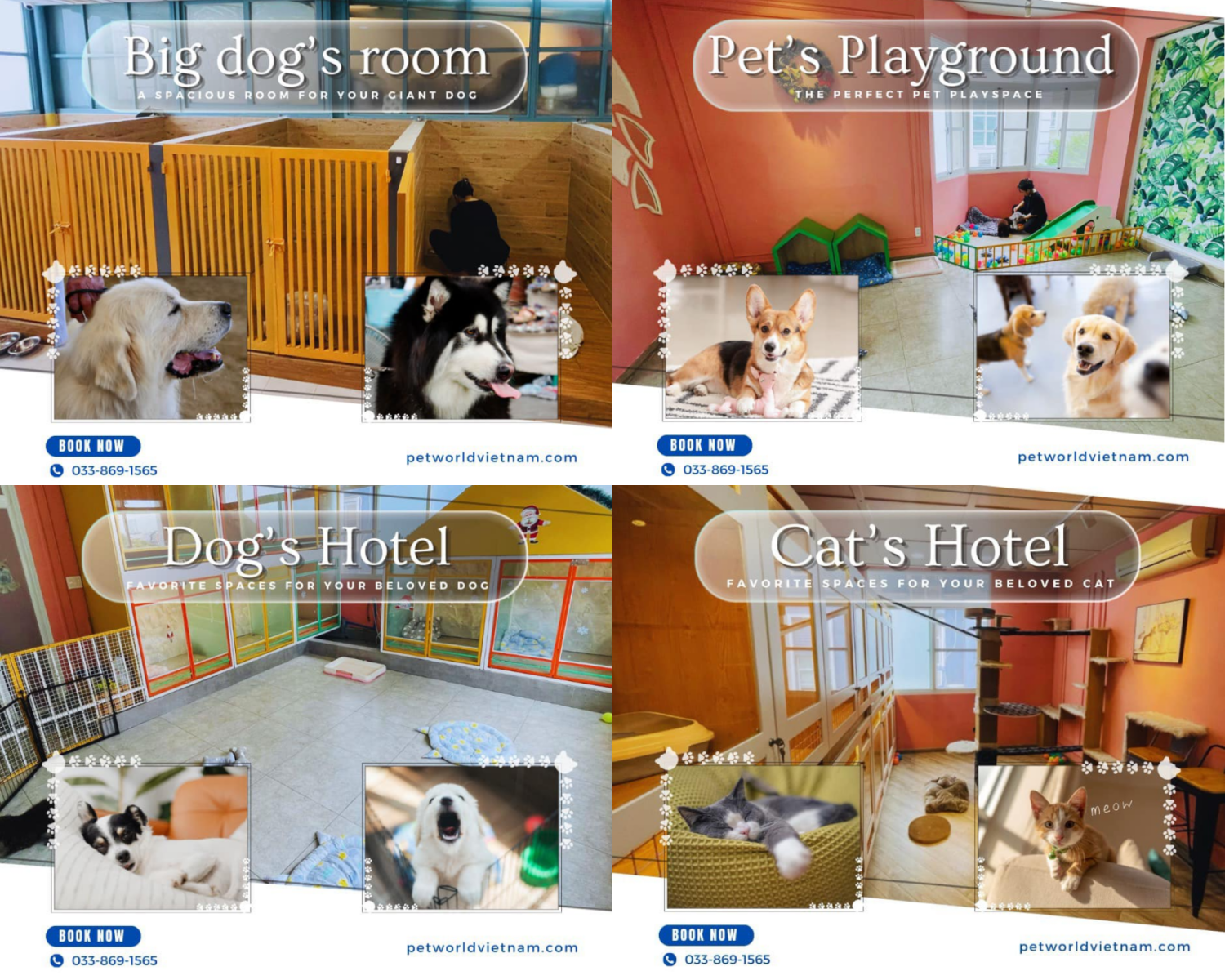 Khách sạn cho thú cưng - Pet World