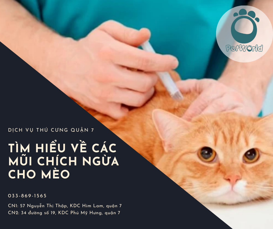 CÁC MŨI TIÊM PHÒNG CỦA MÈO