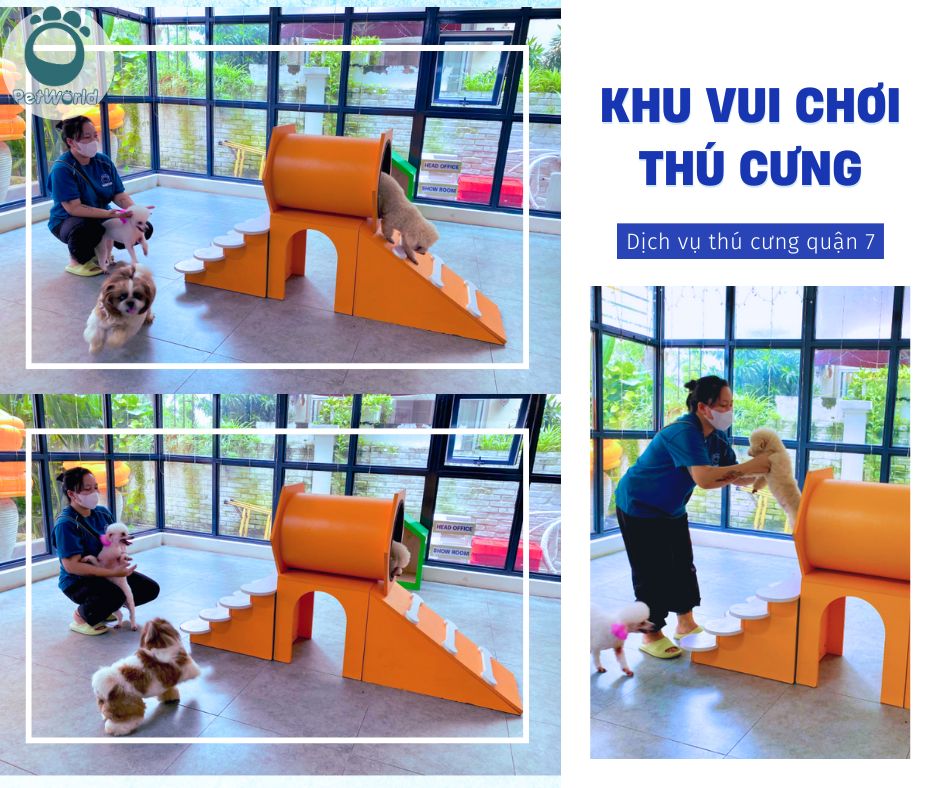 khu vực vơi chơi của thú cưng ở Petworld