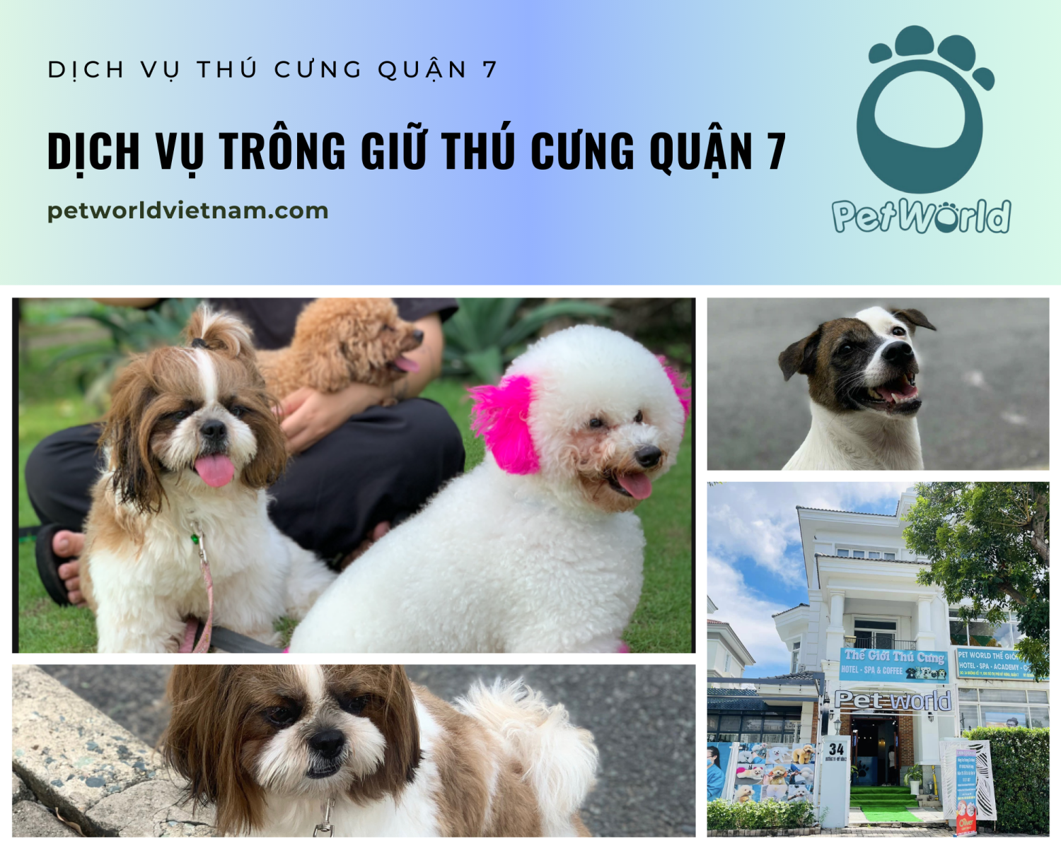 Dịch vụ tỉoong giữ thú cưng uy tín quận 7