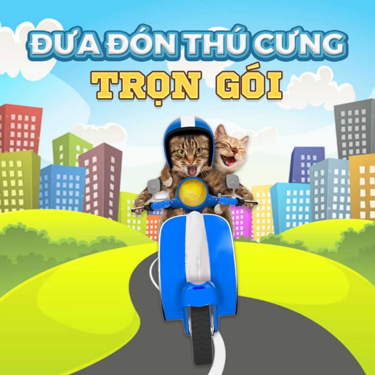 dịch vụ đưa đón thú cưng tại Petworld quận 7