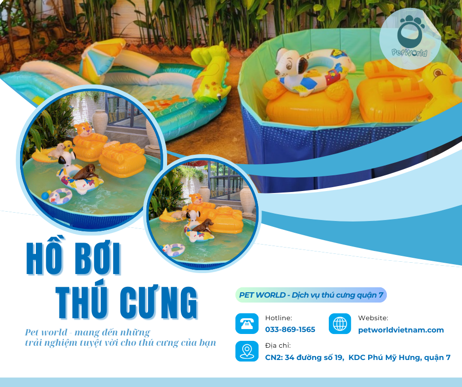 hồ bơi thú cưng- pet world phú mỹ hưng