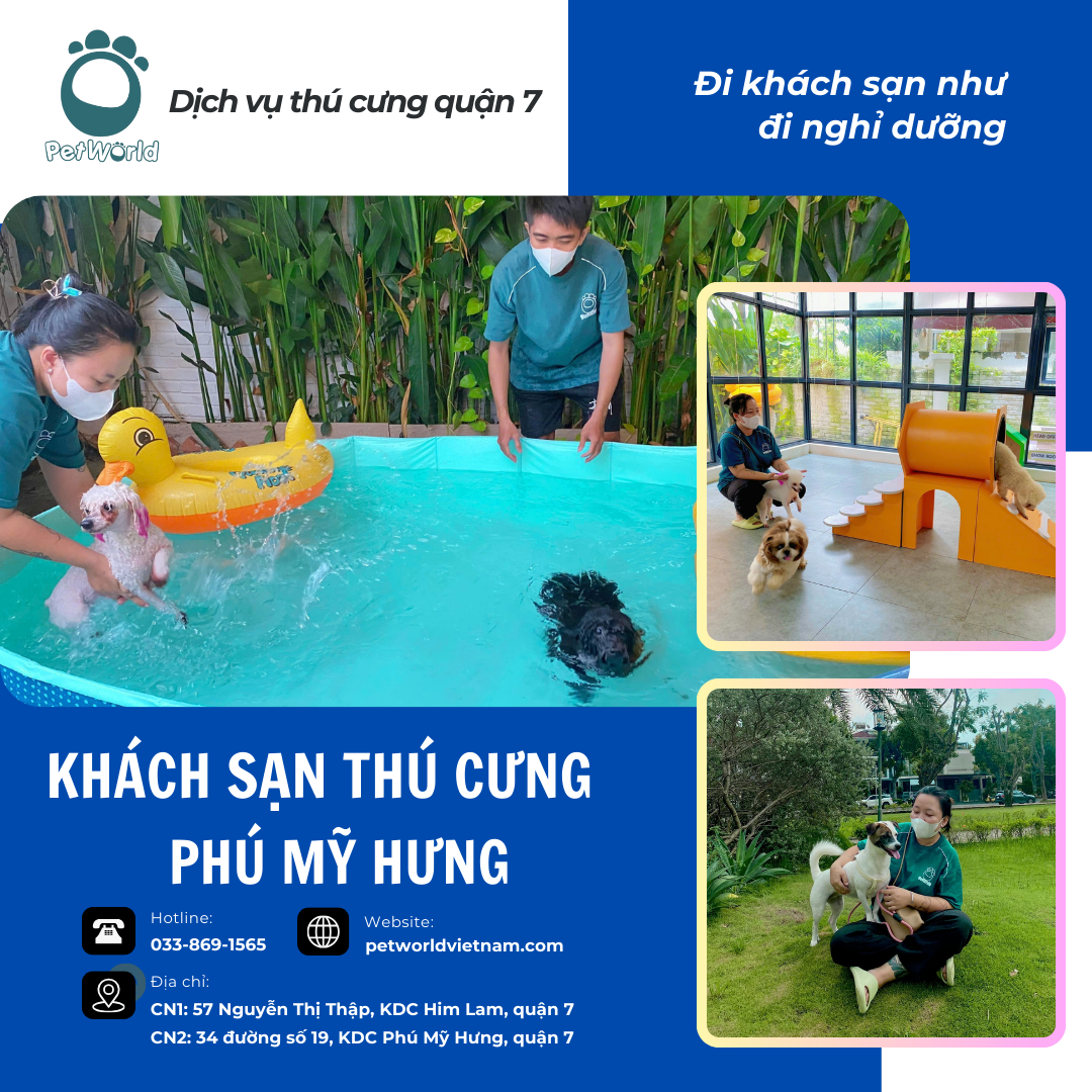 Khạch mới nâng cấp ở Phú Mỹ Hưng