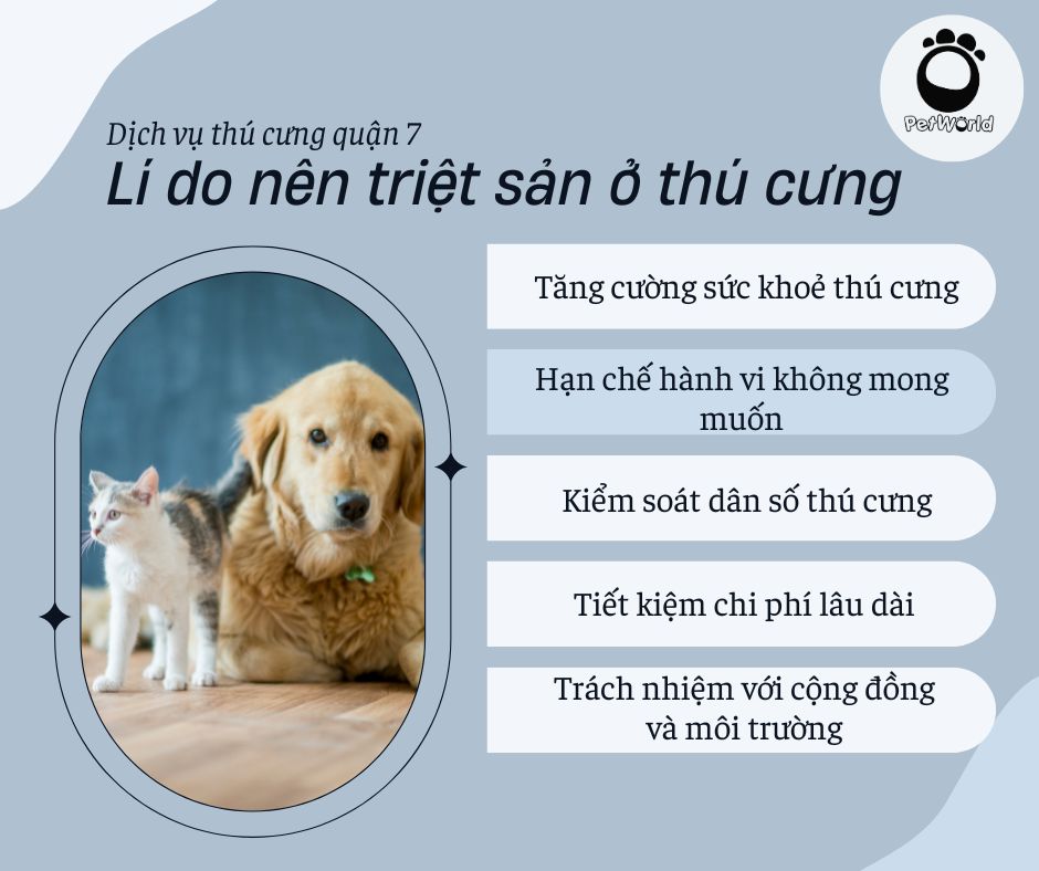 Lí do nên triệt sản ở thú cưng