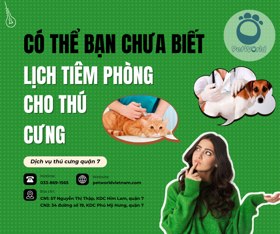 Bạn có biết về lịch tiêm phòng phù hợp cho thú cưng chưa?