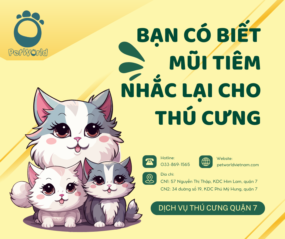 Mũi tiêm nhắc lại cho thú cưng