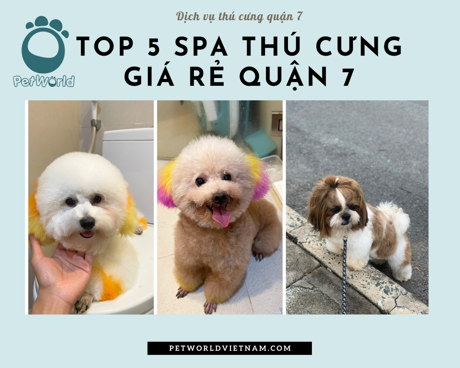 top 5 spa thú cưng giá rẻ quận 7