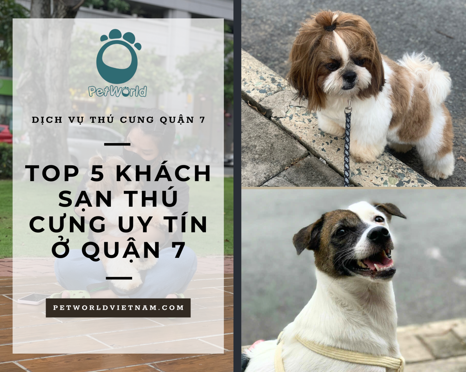 pet world -khách sạn thú cưng uy tín