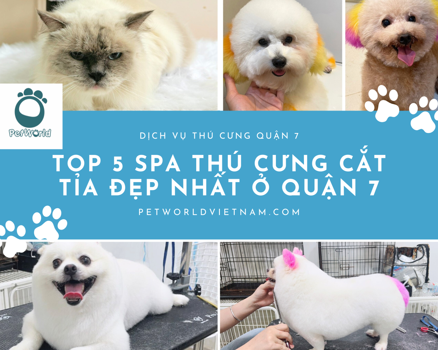 Top 5 spa cắt tỉa đẹp nhất quận 7