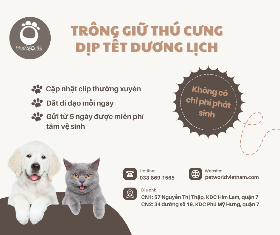 Petworld - Trông giữ thú cưng dip Tết dương lịch