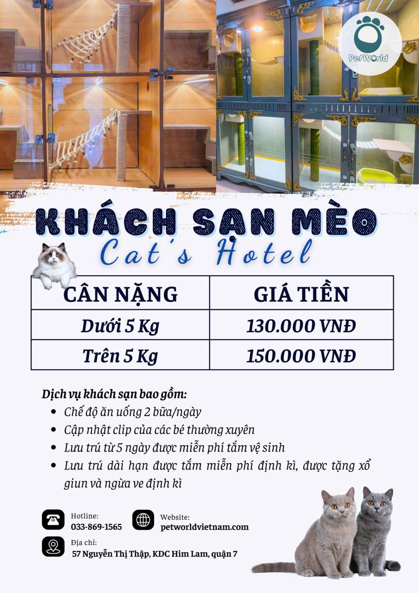 Bảng giá khách sạn mèo Tại Petworld