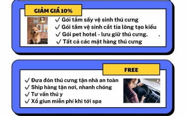 Giảm 10% khai trương chi nhánh quận 7