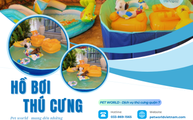 SWIMMING POOL FOR PET - HỒ BƠI CHO THÚ CƯNG QUẬN 7