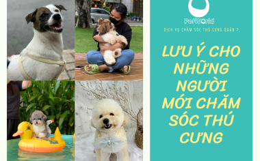 LƯU Ý CHO NHỮNG NGƯỜI MỚI CHĂM SÓC THÚ CƯNG