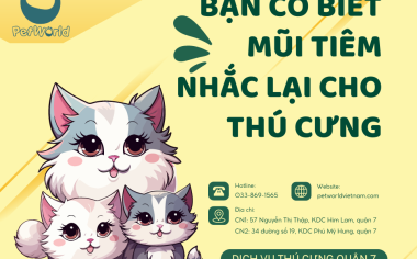 MŨI TIÊM NHẮC LẠI CHO THÚ CƯNG