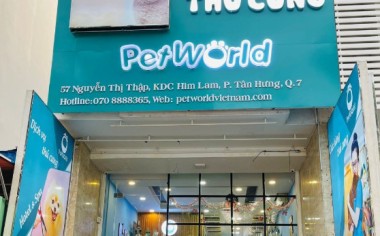 DỊCH VỤ CHĂM SÓC THÚ CƯNG ĐỈNH CAO - PET WORLD QUẬN 7