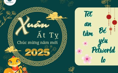 TRÔNG GIỮ THÚ CƯNG DỊP TẾT ÂM LỊCH NĂM 2025