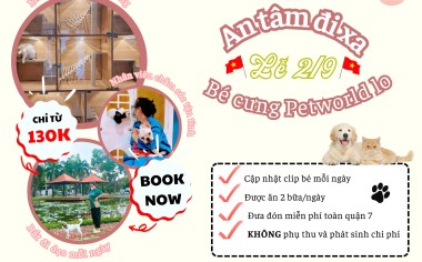 DỊCH VỤ SPA VÀ KHÁCH CHO THÚ CƯNG DỊP LỄ 2/9